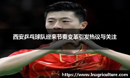 JJB竞技宝官网