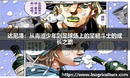 JJB竞技宝官网