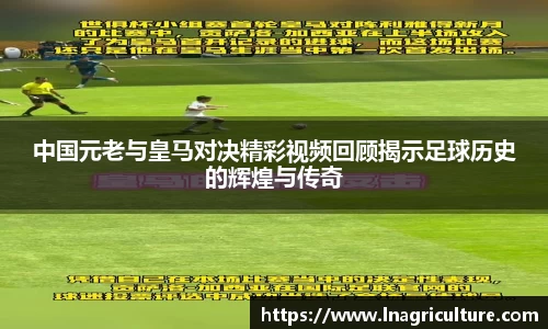 竞技宝JJB