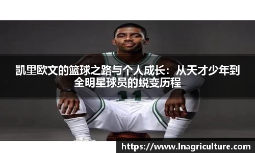 JJB竞技宝官网