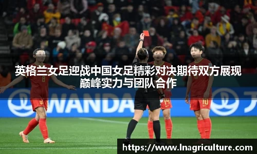 JJB竞技宝官网