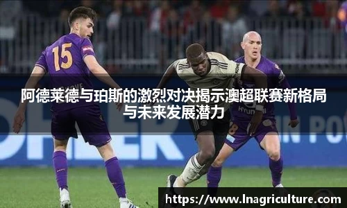 竞技宝JJB