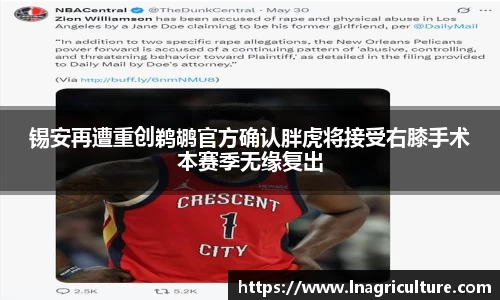 竞技宝JJB