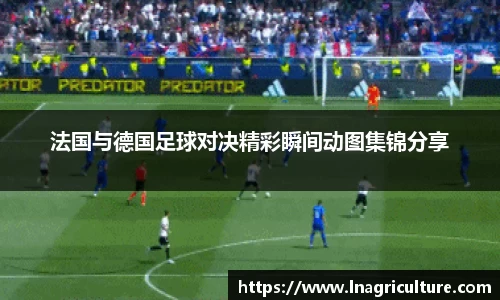 竞技宝JJB