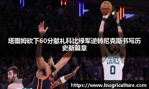 竞技宝官网