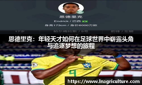 竞技宝官网
