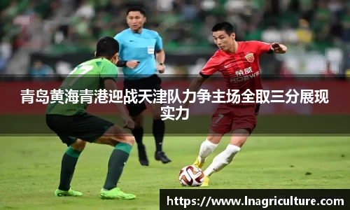 JJB竞技宝官网