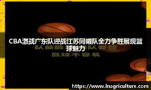 竞技宝JJB