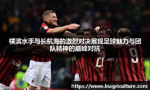 JJB竞技宝官网