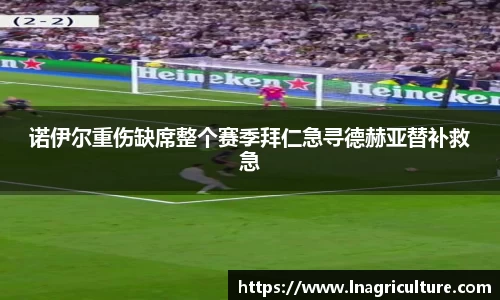 竞技宝官网