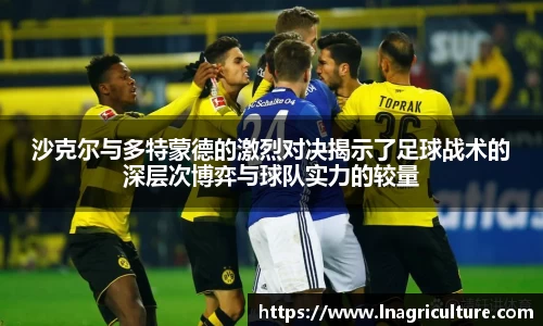 JJB竞技宝官网