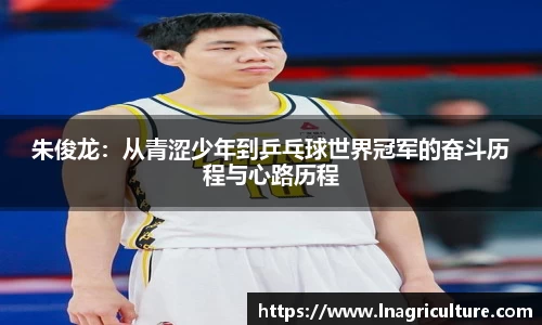 竞技宝JJB