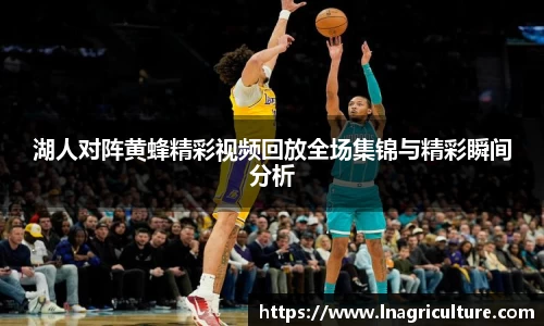 竞技宝JJB