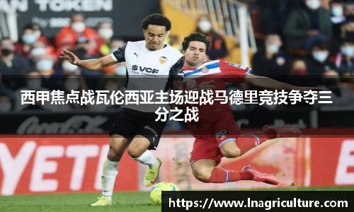 竞技宝JJB