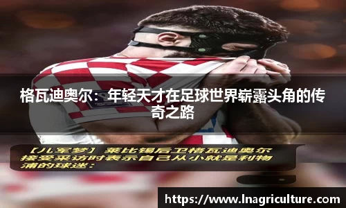 JJB竞技宝官网