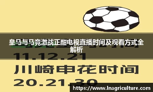 JJB竞技宝官网
