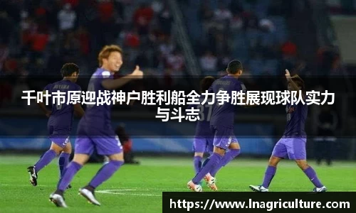 竞技宝JJB