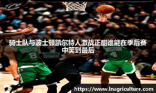 JJB竞技宝官网