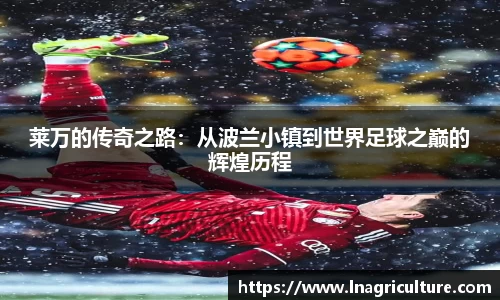 JJB竞技宝官网