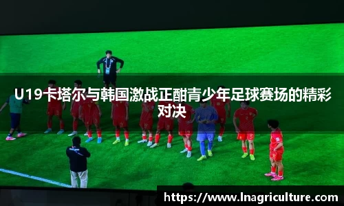 JJB竞技宝官网