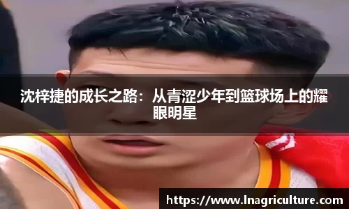 竞技宝官网