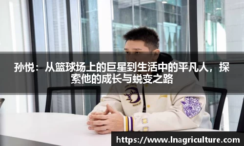 竞技宝官网