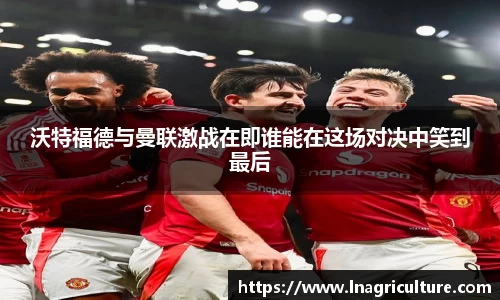 JJB竞技宝官网