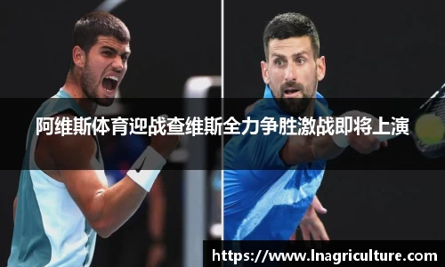 JJB竞技宝官网