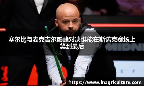 竞技宝JJB