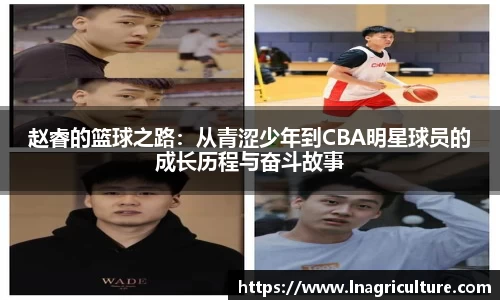 竞技宝JJB