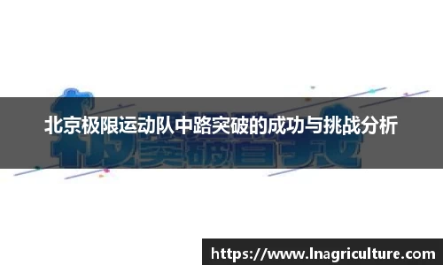 JJB竞技宝官网