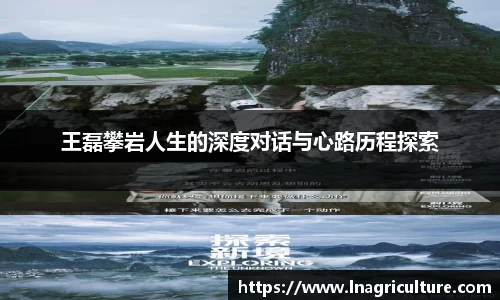 竞技宝JJB