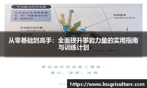 JJB竞技宝官网