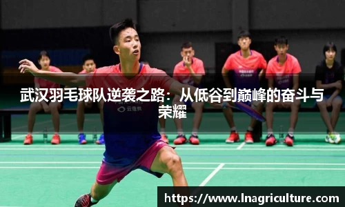 竞技宝JJB