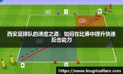 竞技宝JJB