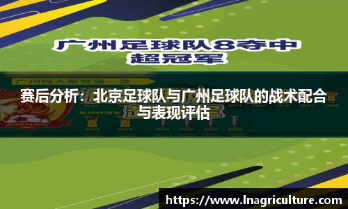 竞技宝官网