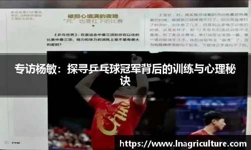 JJB竞技宝官网
