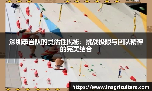 竞技宝JJB