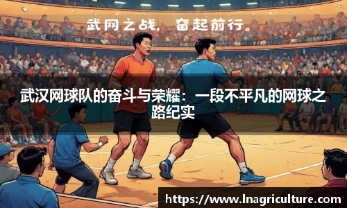 JJB竞技宝官网