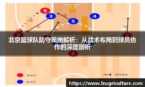 JJB竞技宝官网