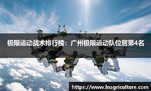 JJB竞技宝官网