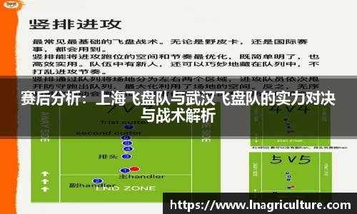 赛后分析：上海飞盘队与武汉飞盘队的实力对决与战术解析