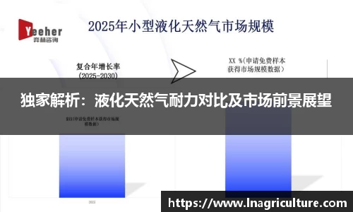 独家解析：液化天然气耐力对比及市场前景展望