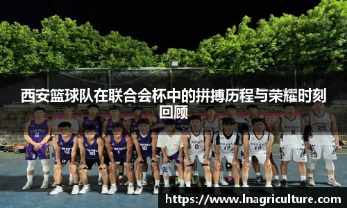 西安篮球队在联合会杯中的拼搏历程与荣耀时刻回顾
