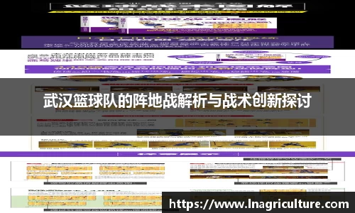 武汉篮球队的阵地战解析与战术创新探讨