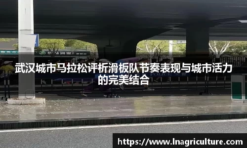 竞技宝官网